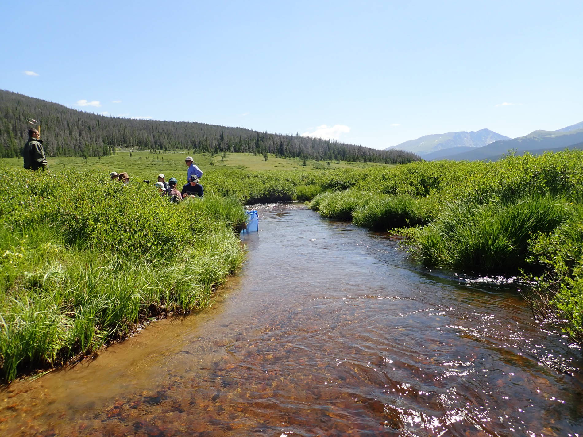 Students work along a mountain stream collecting samples