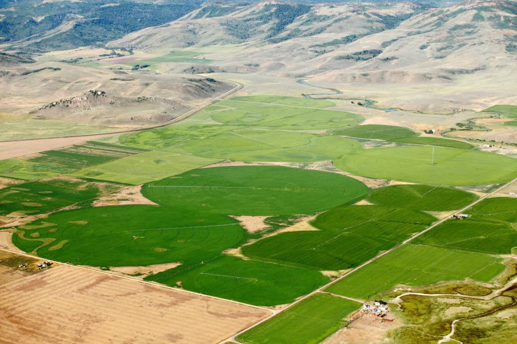 irrigated agricultural lands