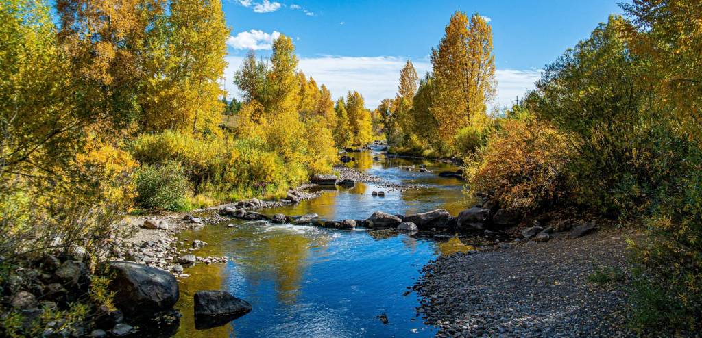 A shallow river in the fall as the leave change on the trees. 