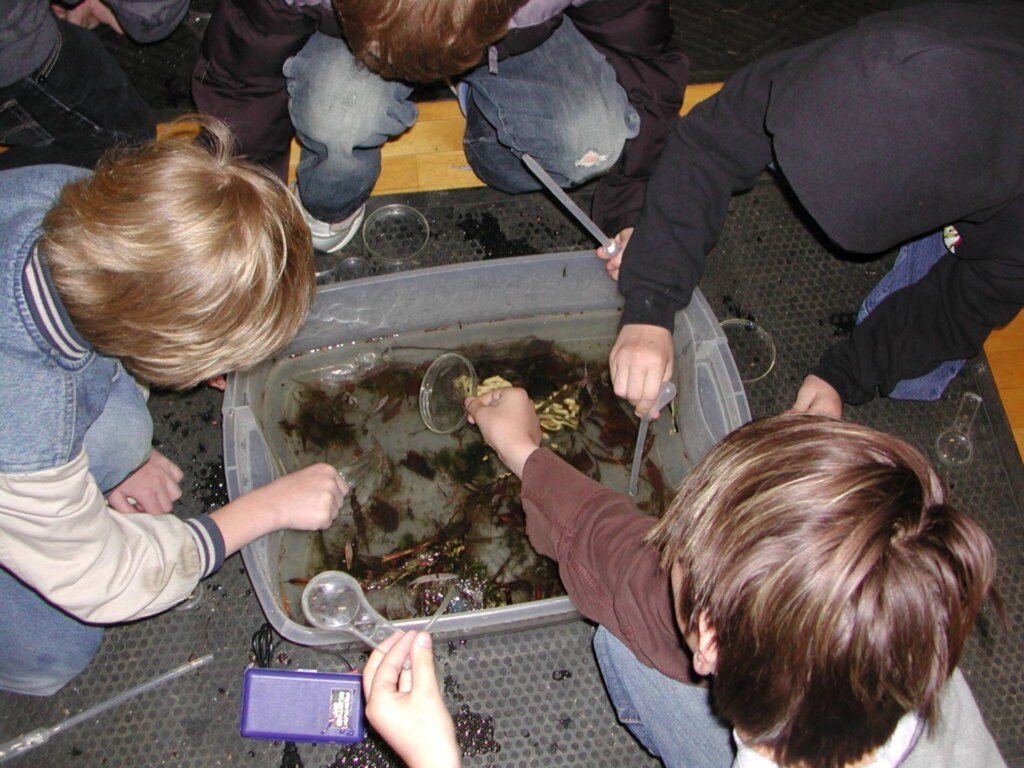 A group of elementary school kids lean over a tub of water and take samples for an experiment