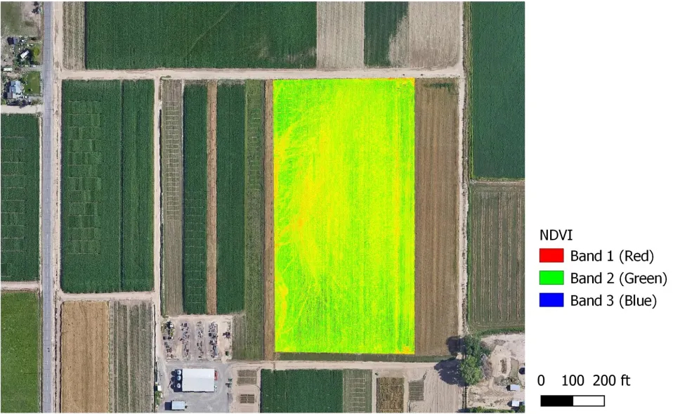 A view of the project field from the drone sensors