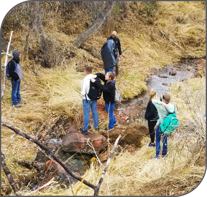 Students studying stream