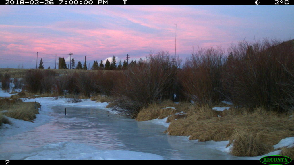 sunset on the Poudre