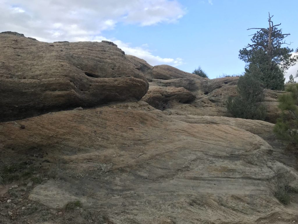 Dawson Formation sandstone. Photo taken in Castlewood Canyon State Park courtesy of Michael Ronayne