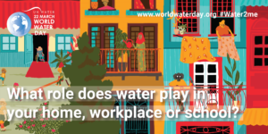 5. What role does water play in your home, workplace or school?